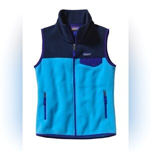 Patagonia Blue and Navy Vest